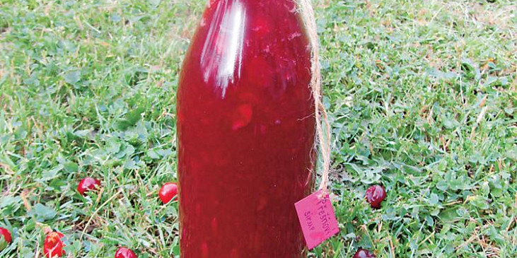 Domácí třešňový sirup