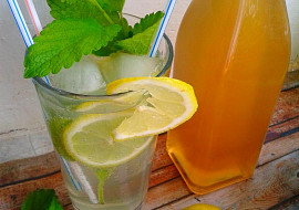 Domácí meduňkový sirup