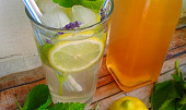 Domácí meduňkový sirup