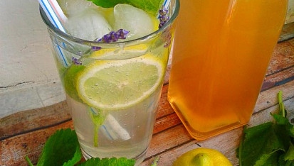 Domácí meduňkový sirup