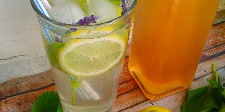 Domácí meduňkový sirup