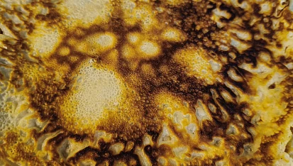 Palačinky s džemem