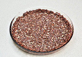Nepečený koláč s mascarpone a broskvemi