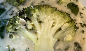 Brokolicová polévka (Brokolicova)