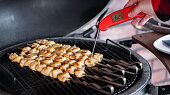 Kuřecí tandoori špízy s koriandrovou omáčkou