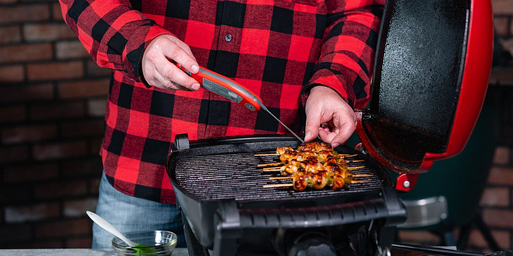 Kuřecí yakitori