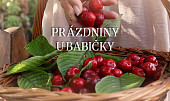 Babiččina koprová omáčka