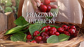 Babiččina koprová omáčka