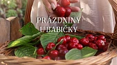 Babiččina koprová omáčka