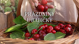 Babiččina koprová omáčka
