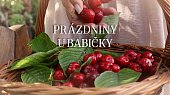 Rychlé meruňkové knedlíky z tvarohového těsta