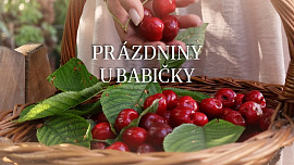 Rychlé meruňkové knedlíky z tvarohového těsta
