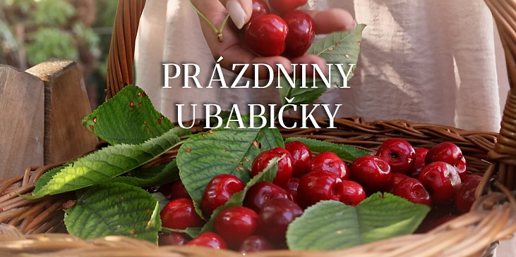 Rychlé meruňkové knedlíky z tvarohového těsta