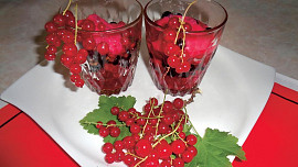 Rybízový sorbet