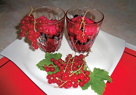 Rybízový sorbet