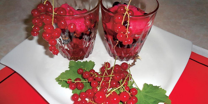 Rybízový sorbet