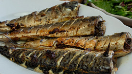 Pečená makrela