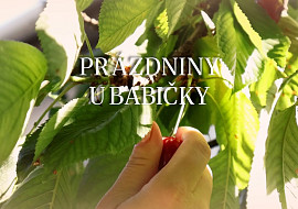 Babiččina sladká omeleta (Štěpánská)