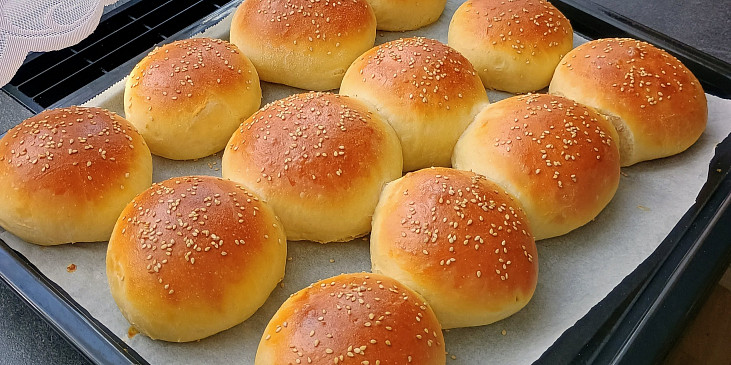 Hamburgerové bulky (včetně celozrnné varianty)
