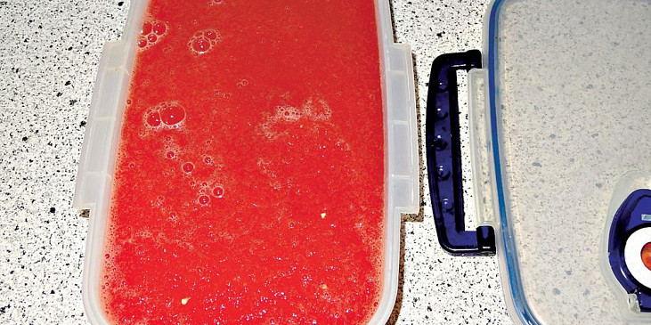 Melounový sorbet