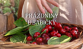 Babiččina bramboračka
