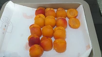 Meruňkové knedlíky plňěné oříškovým máslem, citrónový sorbet