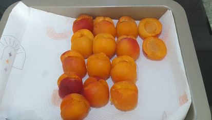 Meruňkové knedlíky plněné oříškovým máslem, citrónový sorbet