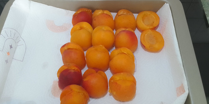 Meruňkové knedlíky plněné oříškovým máslem, citrónový sorbet