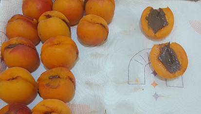 Meruňkové knedlíky plněné oříškovým máslem, citrónový sorbet