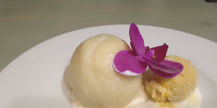 Meruňkové knedlíky plněné oříškovým máslem, citrónový sorbet