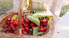 Babiččin králík na česneku