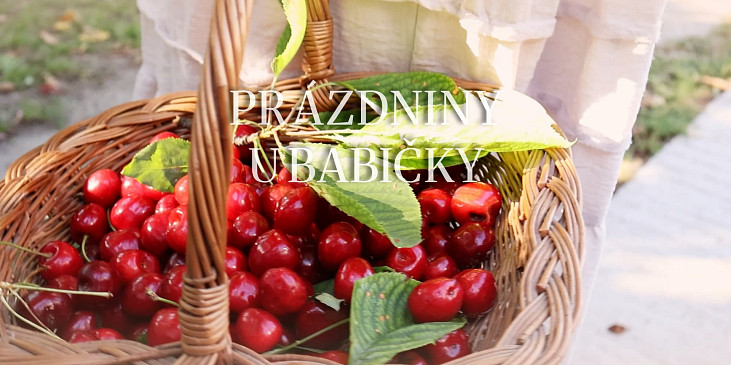 Babiččin králík na česneku