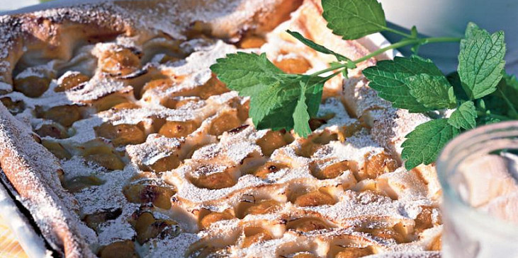 Clafoutis se špendlíky