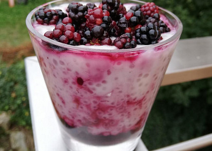 Tapiokový pudink s lesními plody