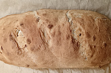 Cibulová bageta