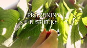 Hrníčková bábovka od babičky