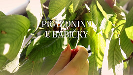 Hrníčková bábovka od babičky