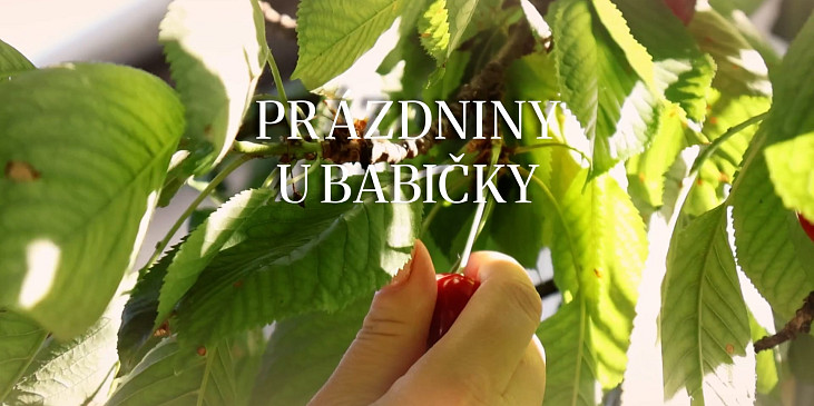 Hrníčková bábovka od babičky