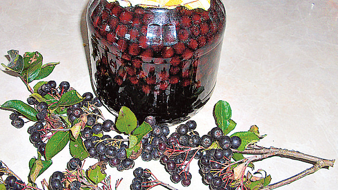 Kompot z aronie