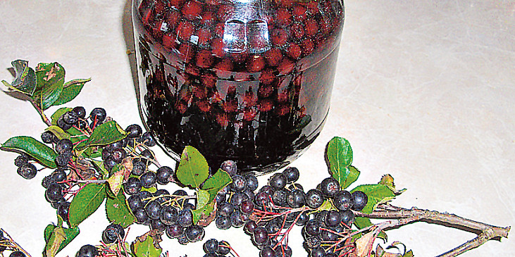 Kompot z aronie