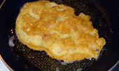 Vaječné řízky