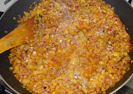Bulharská čočka