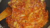 Bulharská čočka