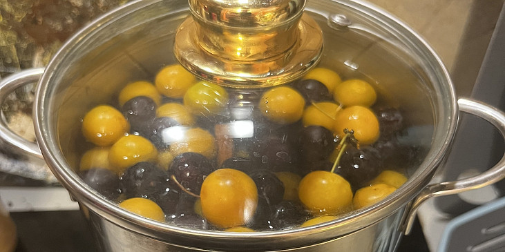Mirabelkový sirup (Mirabelky v hrnci)