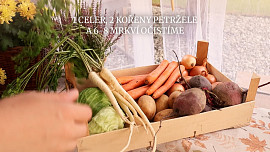 Domácí polévkové koření