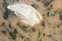 Fazolková ♥️