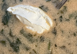 Fazolková polévka na kyselo (Fazolková ♥️)