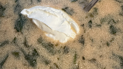Fazolková polévka na kyselo, Fazolková ♥️