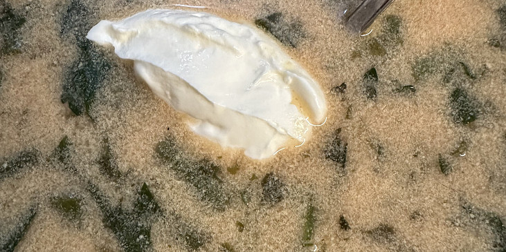 Fazolková polévka na kyselo (Fazolková ♥️)