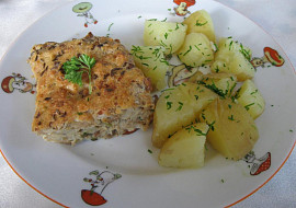 Jihočeský houbovec